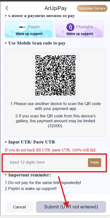 Select your preferred payment method: UPI / PhonePe / Google Pay / Paytm Bank Transfer USDT (Crypto Wallet) Choose or enter your deposit a